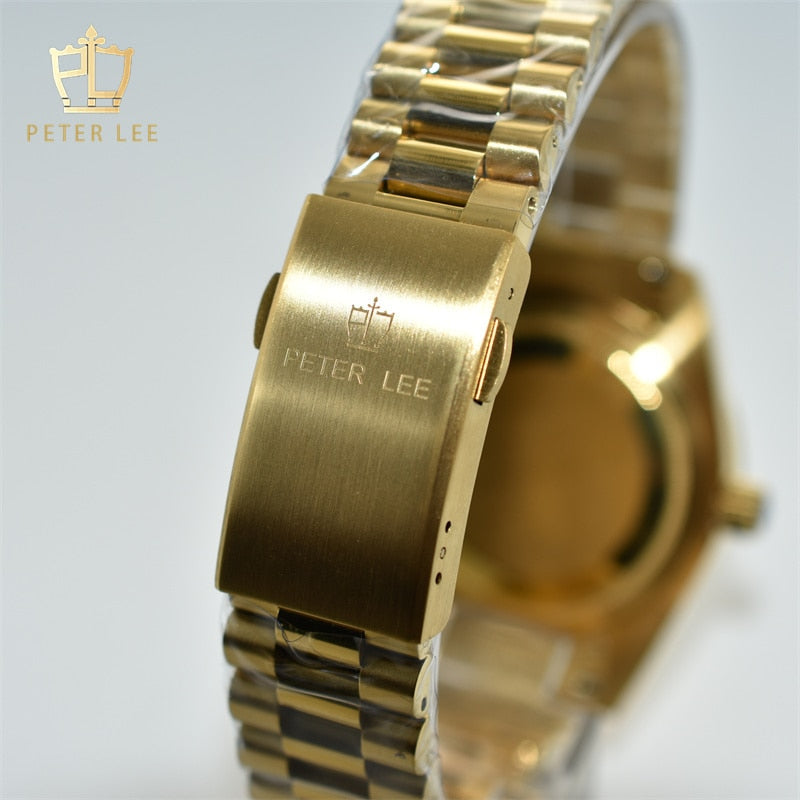 Peter Lee Luxury Brand Stainless Steel Men Automatic Mechanical Gold Wristwatches Vintage Design Auto Date Watch Gifts For Dad
