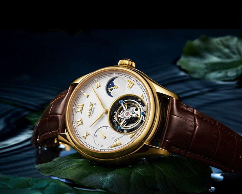 AESOP Tourbillon Men's Mechanical Watch Watches Male Leather Skeleton Watch for Men Man Luxury Clocks montre homme Dropshipping